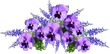 Цветы на прозрачном фоне